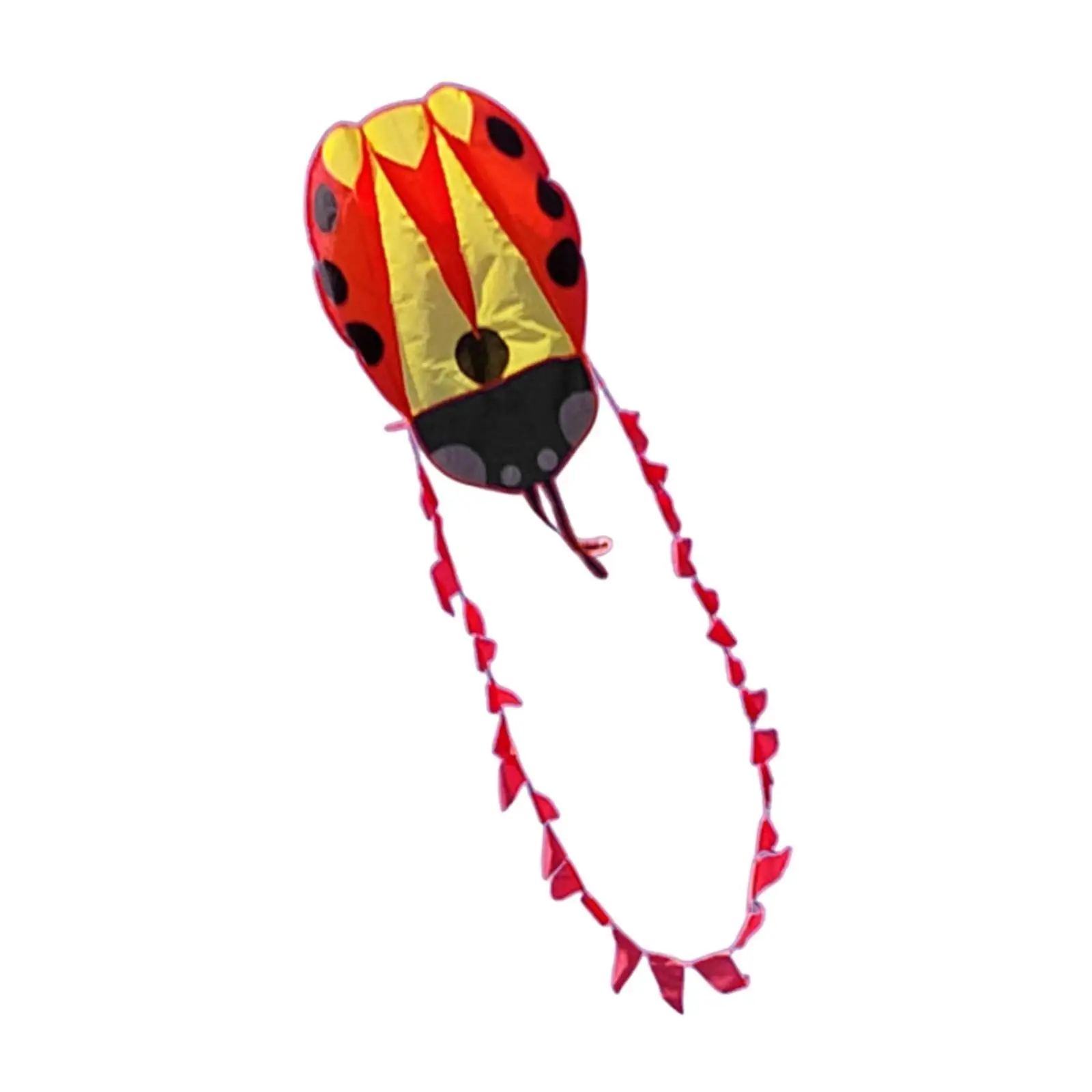 Lady Beetle Kite Lightweight Flying Toy for Backyard Travel Birthday Gift