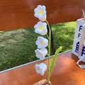105456-B-orchid