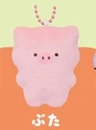pig