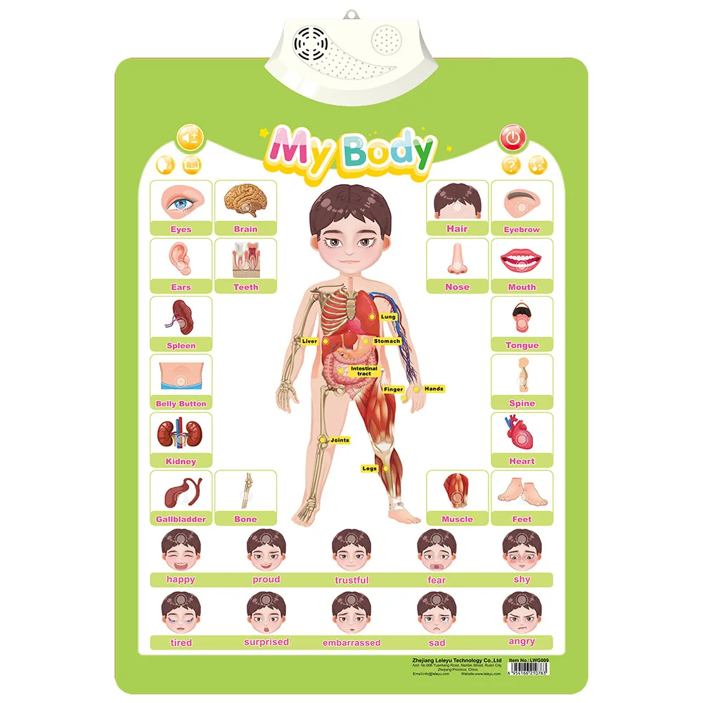 My Body 945