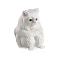 white cat