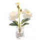 white-1