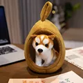 Akita Inu
