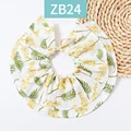 ZB24