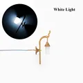 White Light Gold