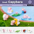 10pcs Capybara-C