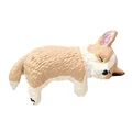 Corgi