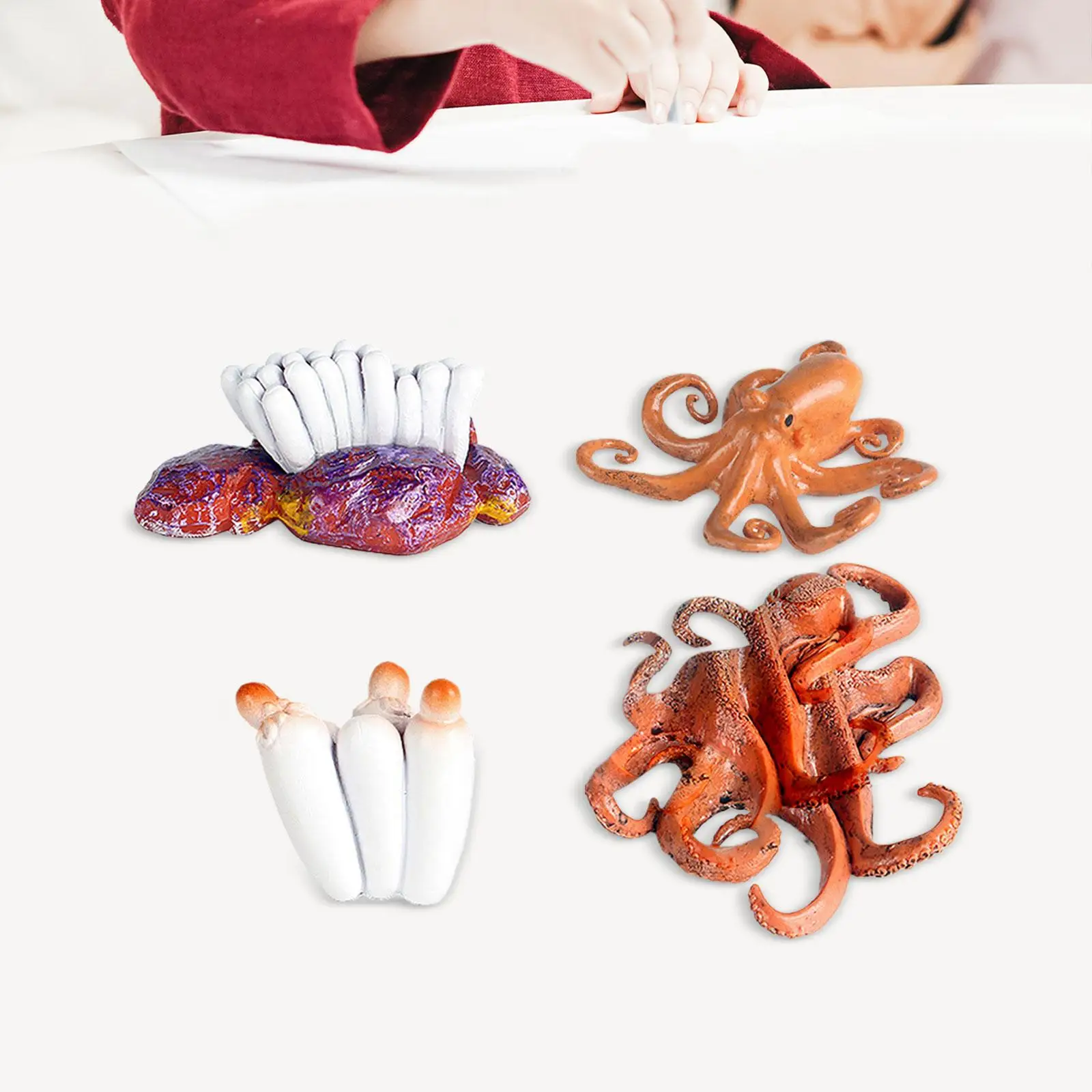 Octopus Life Cycle Set Animal Growth Cycle Simulation Preschool Educational for Children Birthday Gifts Ages 3 4 5 6 Years