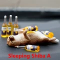 Sleeping Shiba A