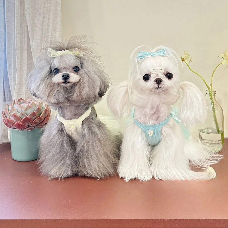 Vestido para mascotas Primavera/Verano para gatos/perros, lazo de encaje con tirantes, falda de malla de princesa Pong, vestidos para perros pequeños, ropa para cachorros - imagen 2
