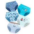 5pcs Fox