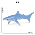SEA LIFE - 5