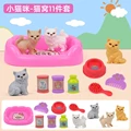 Cat 11Pcs