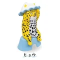 Leopard yellow cat