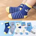 C213-ship 5pcs