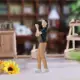 videographer
