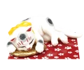 Sleeping white