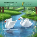 White Swan S