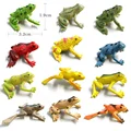 12pcs Frog
