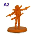 A2