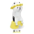 calico cat yellow
