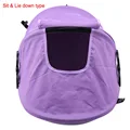 purple B