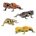 a set of 4