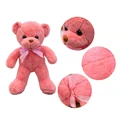 pink bear-30cm