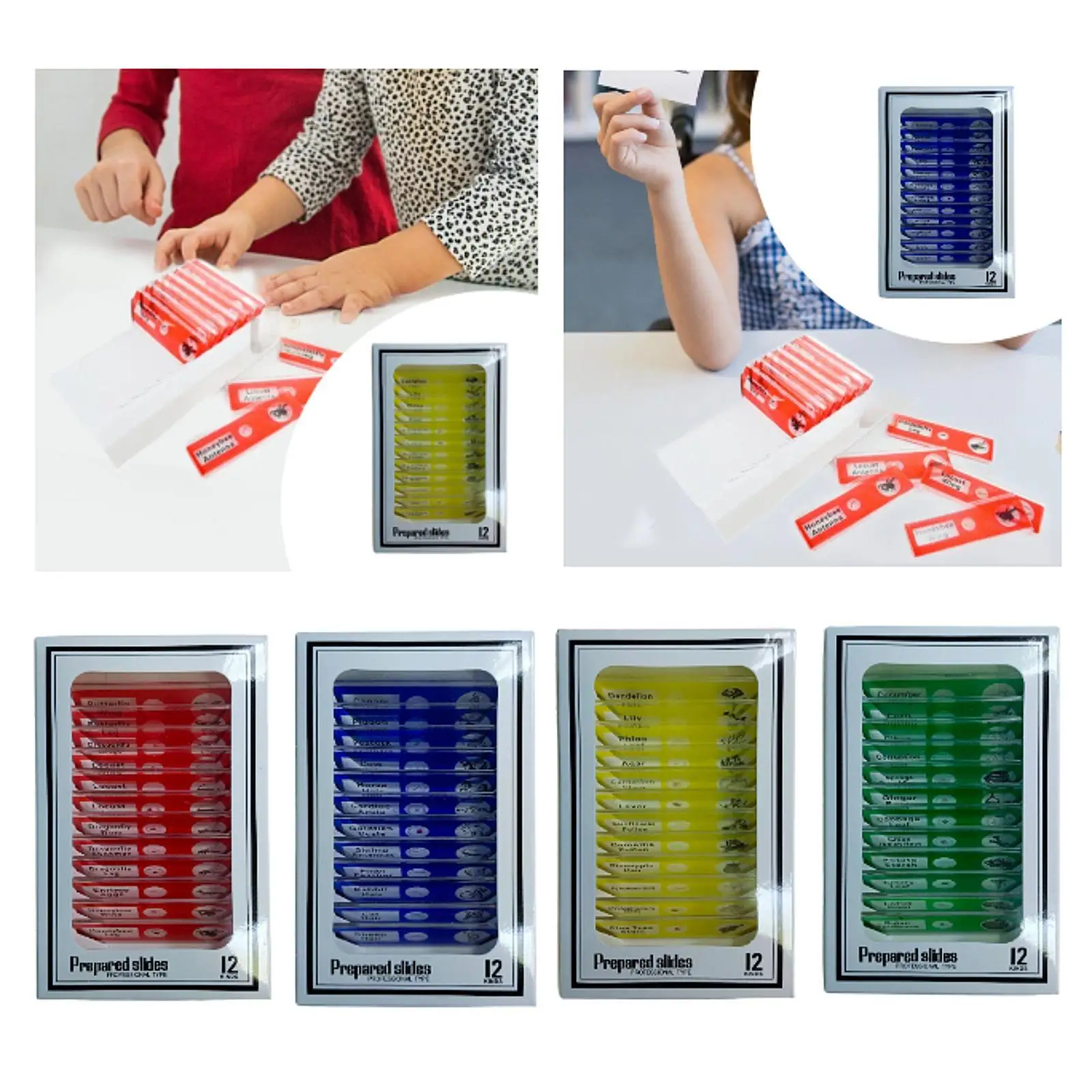 12Pcs Kids Prepared Microscope Slides Microbiology Slides for School Kids