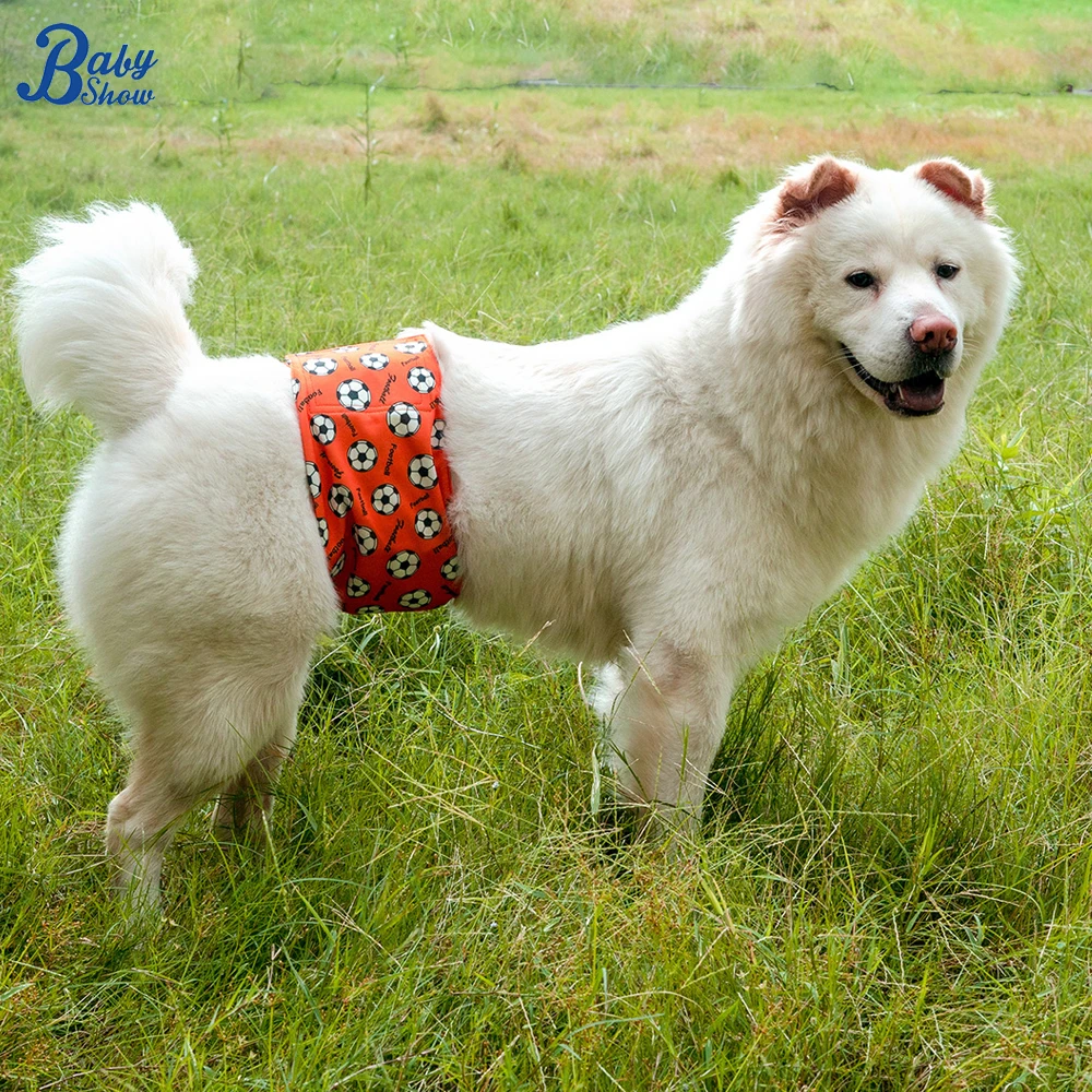 Pañales impermeables y a prueba de fugas para perros, pañales reutilizables de alta absorción con almohadilla suave y cómoda y diseño elegante, 1 ud.