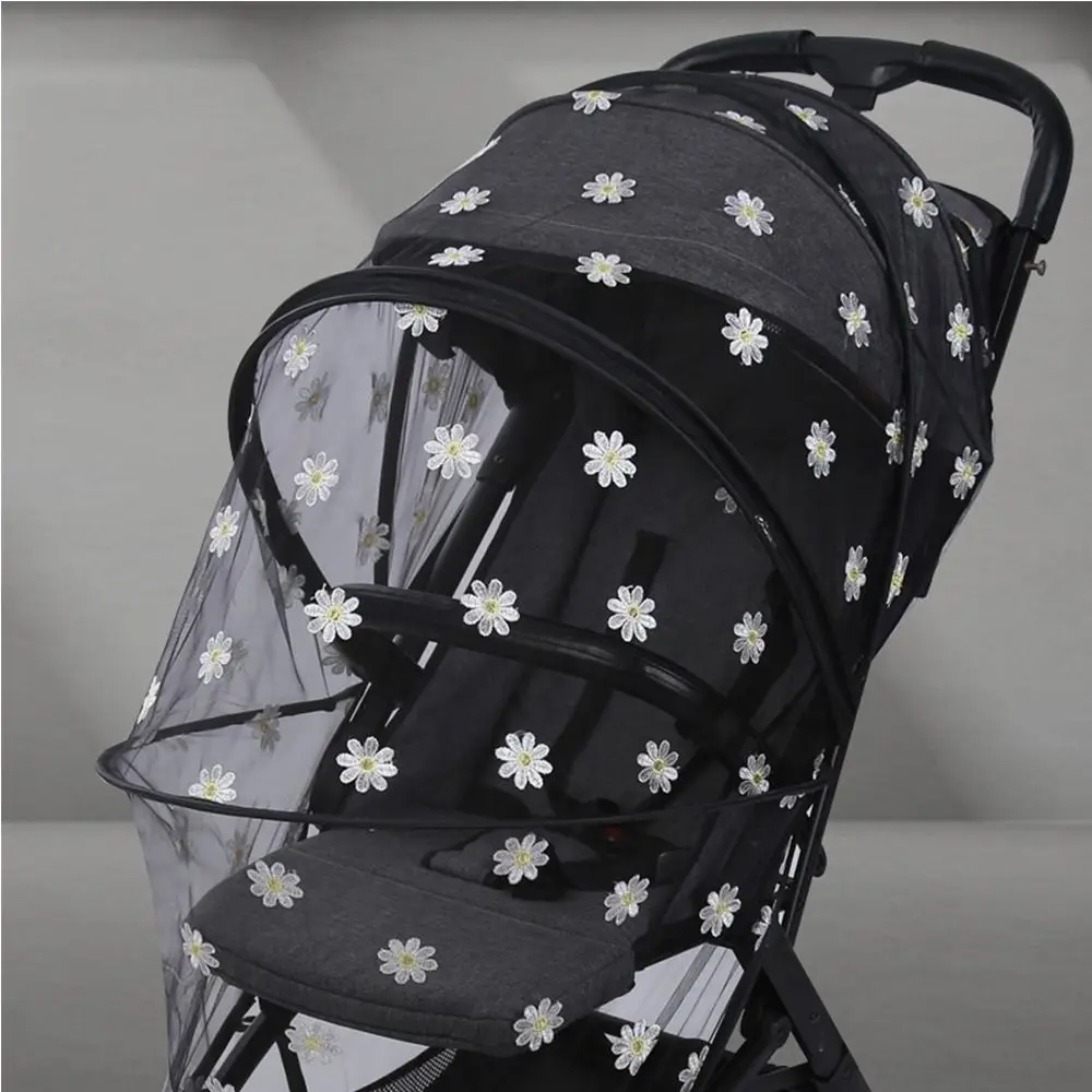 Black-