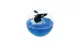 killer whale