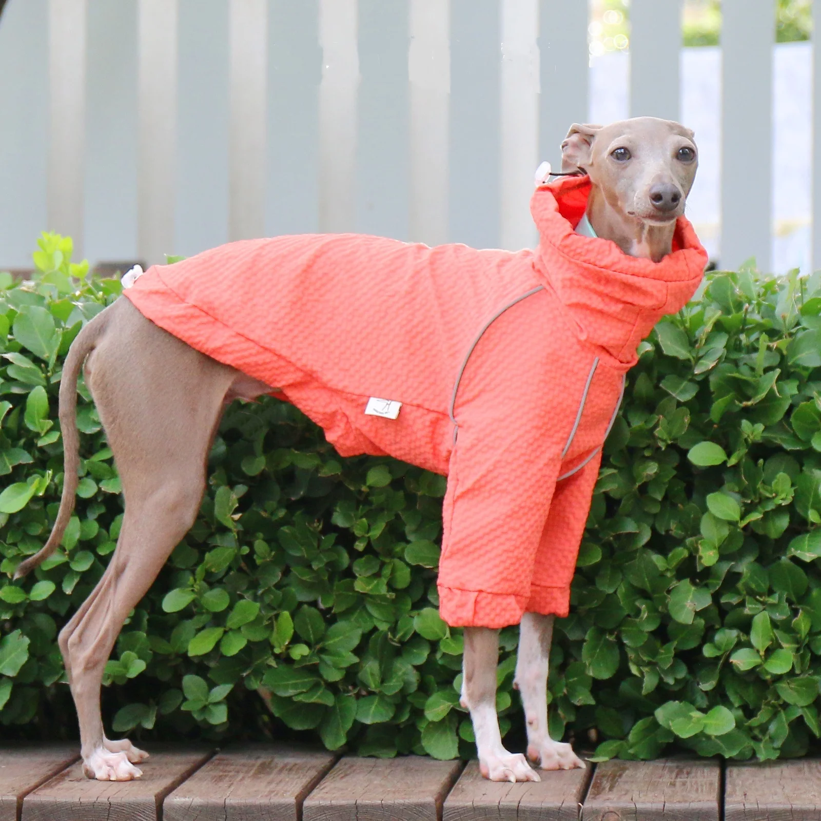 Traje negro de secado rápido para perros mediados, chaqueta transpirable, protector solar a prueba de lluvia, cuello alto, abrigo azul ajustable para galgo italiano - imagen 3