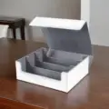 White Lined In Gray