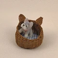 B6-with dog doll