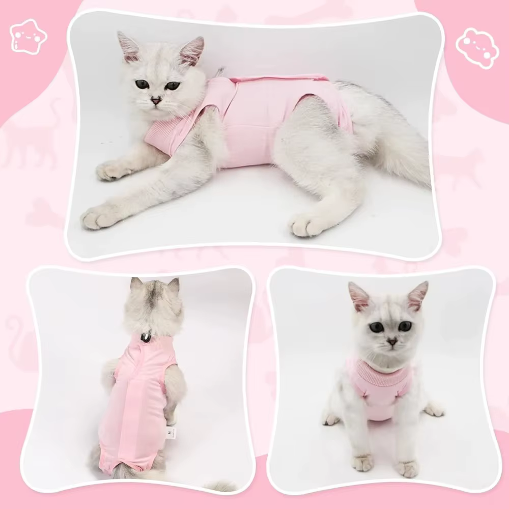 Mono antilamido para gatos – Recuperación tras esterilización - imagen 3