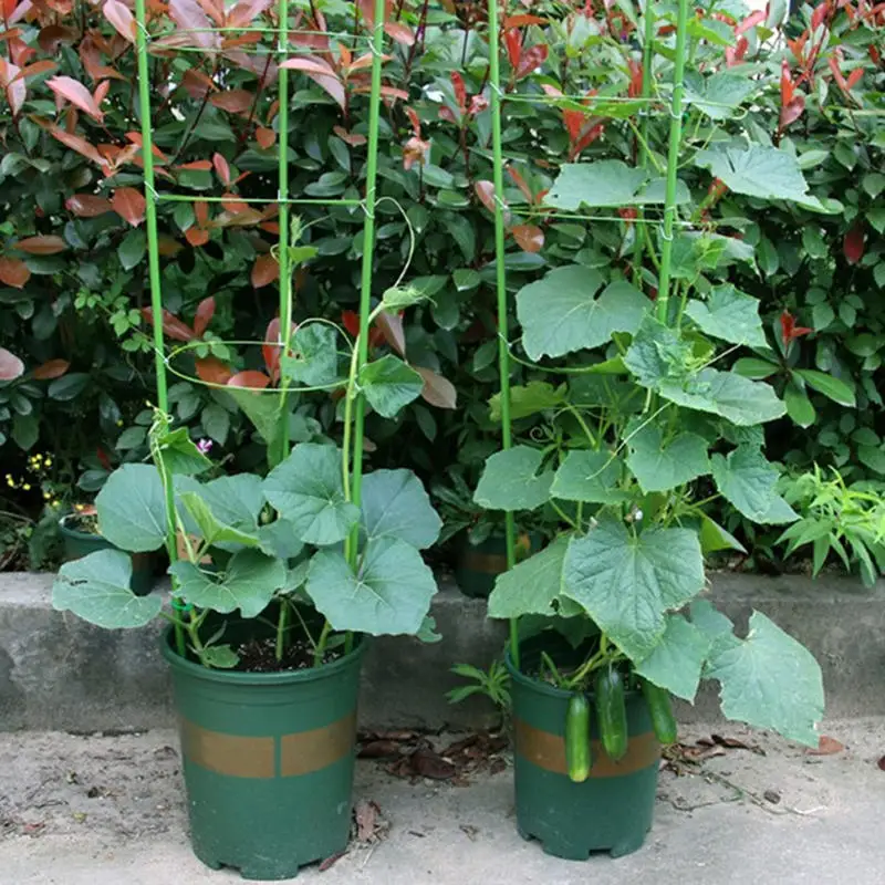 Soporte plantas trepadoras infantil con enrejado decorativo jardín - imagen 4