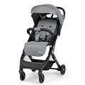 Grey C8 243