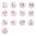 12pc Milestone