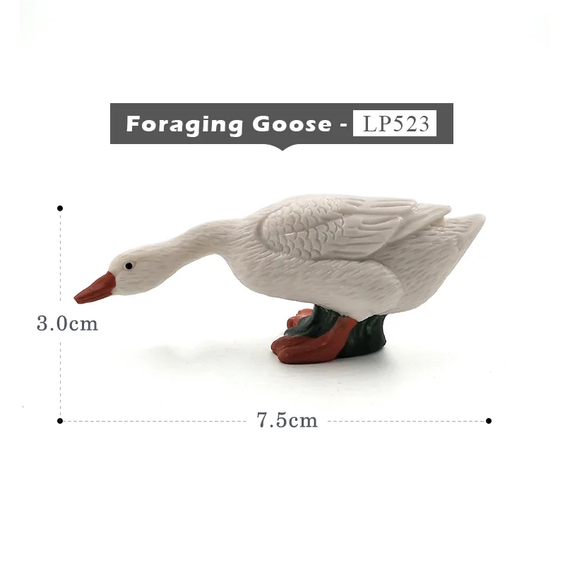 Foraging Goose