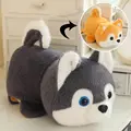 husky to shiba dog