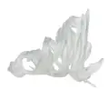 transparent