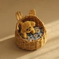 B3-with dog doll