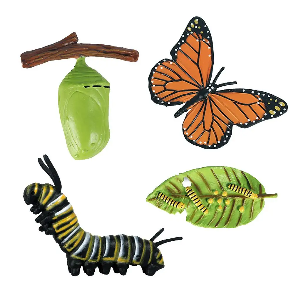 Nature Butterfly Life Cycle Stages Growth Figures Playset Pre- Early Education Learning Toys 