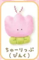 Tulip pink