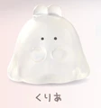 Clear rabbit slim