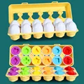 12pcs shape