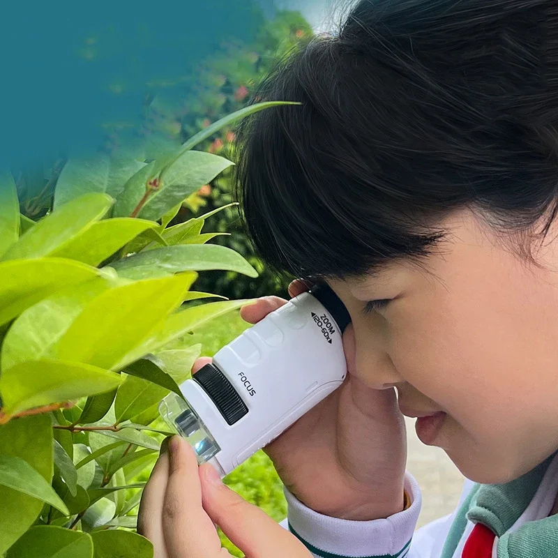 Microscopio de mano LED infantil para ciencia y experimentos - imagen 4