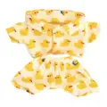 Little Yellow Duck