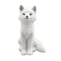 Arctic Fox